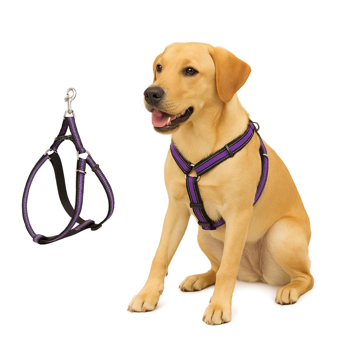 Dog Harness No Pull with Front Clip | Dog Walking Chest Harness with Reflective Adjustable Soft Padded Vest and Easy Control Handle Sizes (Large, Purple)