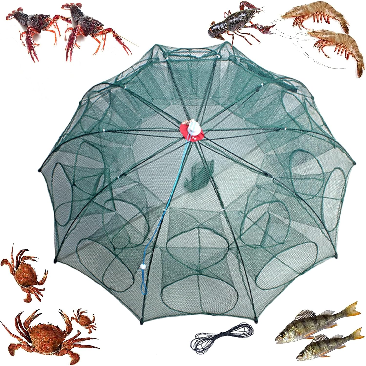 Battalion Fishing Trap (20Holes) High Durable Nylon Net Trap | Portable & Foldable Ideal for Fish, Crab, Shrimps | Suitable for Lakes and Sea | Fish Trap | Cast Net with Extra Drag Line