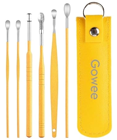 ETSAP ( PACK OF 2 ) The Force Behind Your Health Ear Cleaning Kit Steel Ear Cleaner Reusable Ear Wax Remover Tool Kit Set With Storage Pack, Ear Curette Cleaner And Spring Ear Buds Cleaner 6 Pcs Set (MULTICOLOUR)( PACK OF 2 )