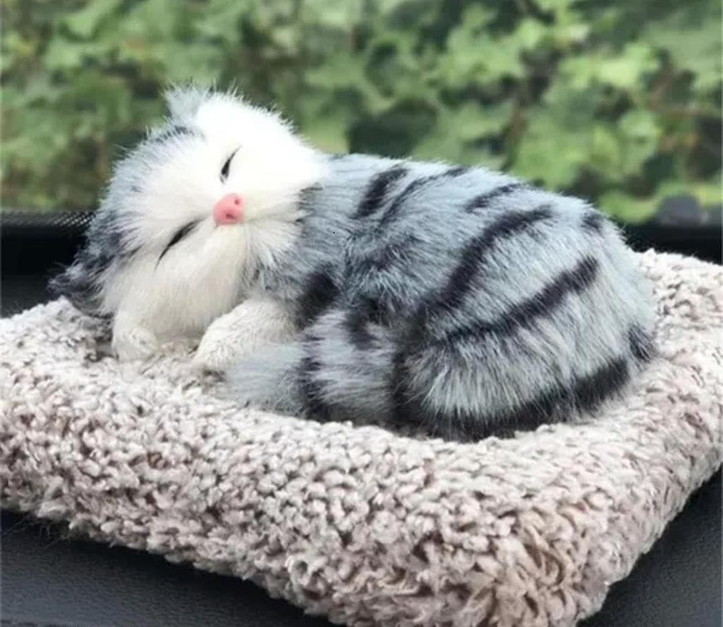 Prezzie Hub Sleeping Cute Cat for Car Dashboard and Home Decor with Activated Carbon | Car Dashboard Soft Toy Sleeping Cat (Brown White) Big Size