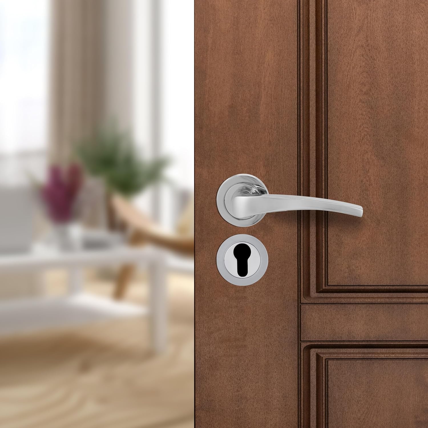 amazon basics Door Handle for Main Door | Main Door ...