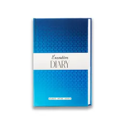 amazon basics Personal Undated Diary | Daily Planner & Yearly Journal | Gift For Boyfriend & Girlfriend | Goal Setting & Productivity Tools (Blue)