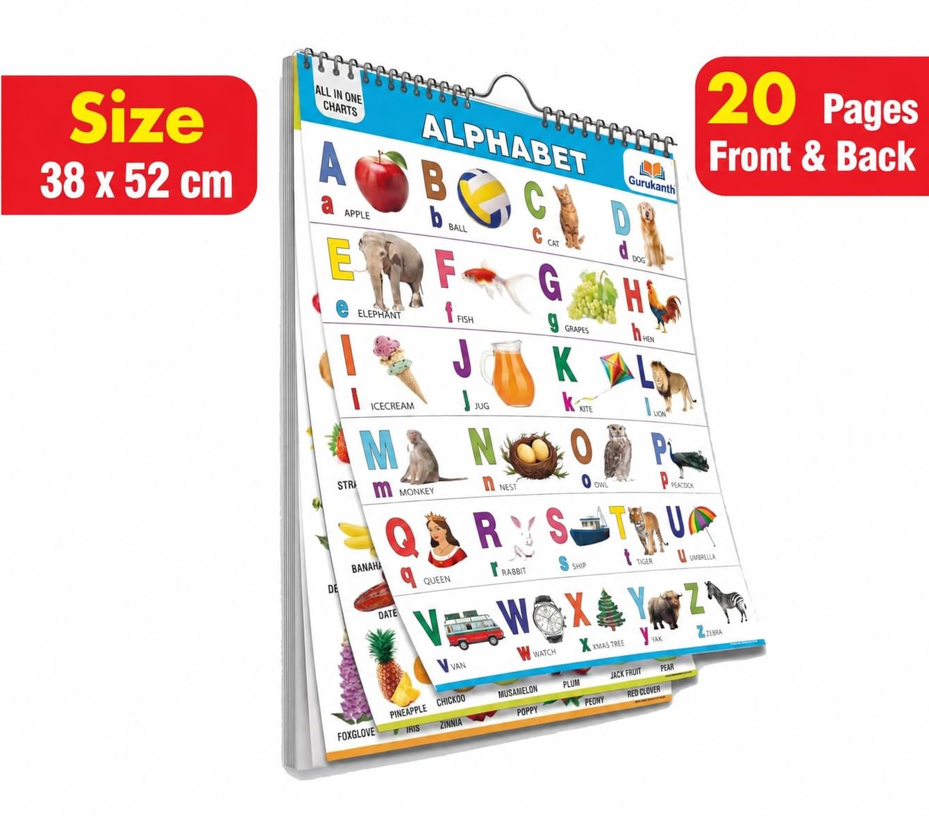 All in One English ABCD Chart For Kids (20 Charts ) 38 x 52 cm - Children Spiral Wall Picture Chart Including Alphabet Charts for kids learning 2 + ... | Return gift for birthday party for kids