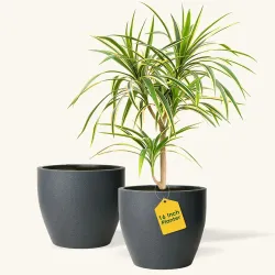 KYARI Premium 16 Inch Grey Planters for Indoor & Outdoor Plants Highly Durable Polymers | Lightweight, UV-Stabilized, Weather-Resistant Decorative Pots for Home & Garden
