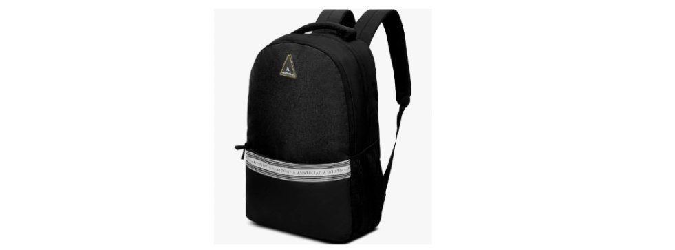 Aristocrat - 18L Laptop Backpack